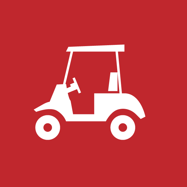 Golf / Electric Vehicle