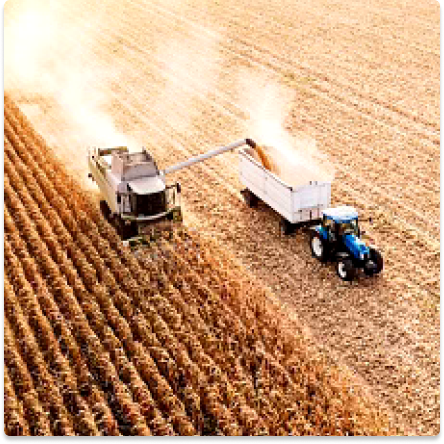 Farm/Agriculture